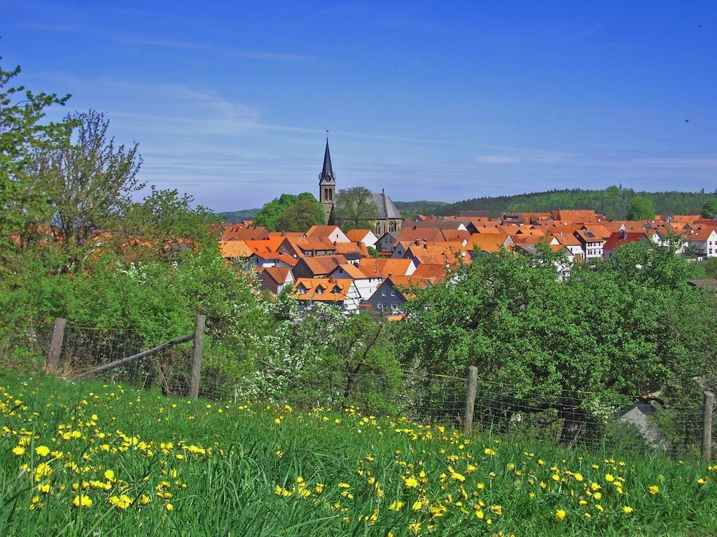 Ferienwohnung Am-Brueckenrain Frankenau 外观 照片