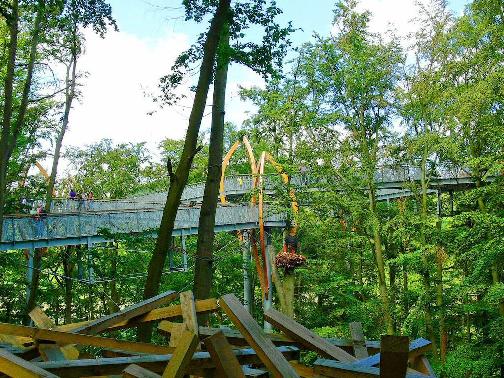 Ferienwohnung Am-Brueckenrain Frankenau 外观 照片