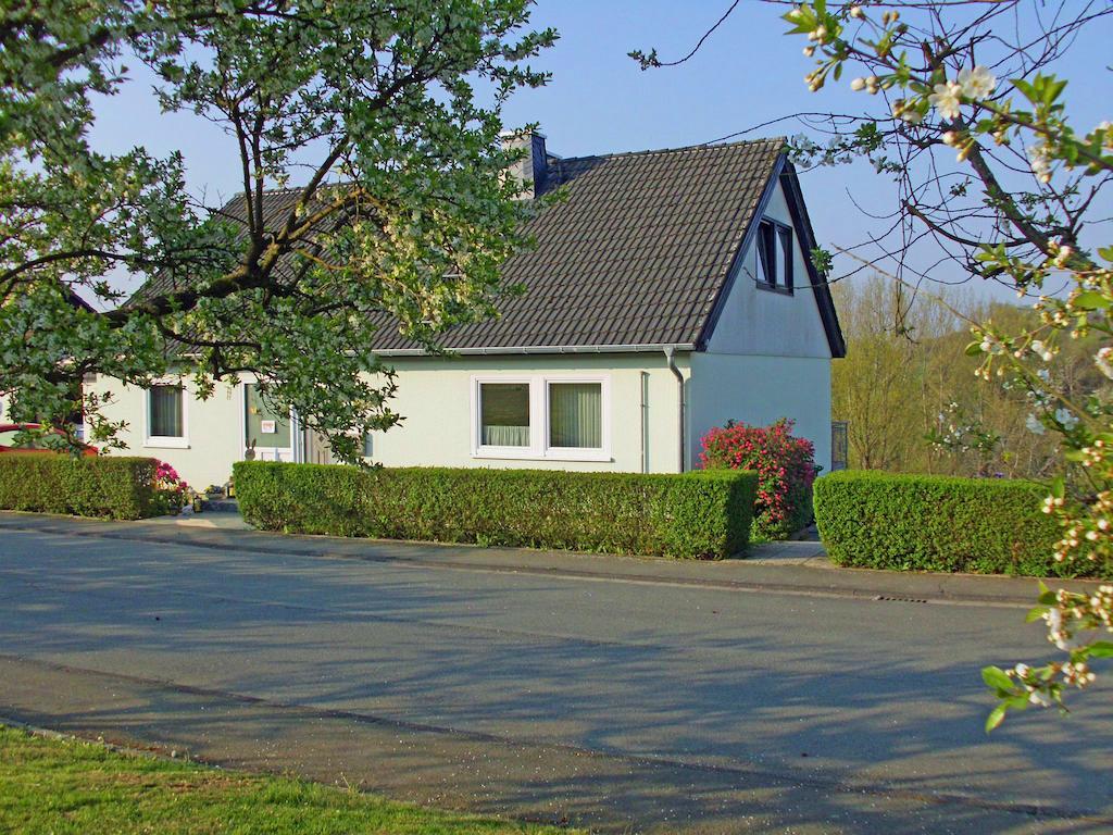 Ferienwohnung Am-Brueckenrain Frankenau 外观 照片